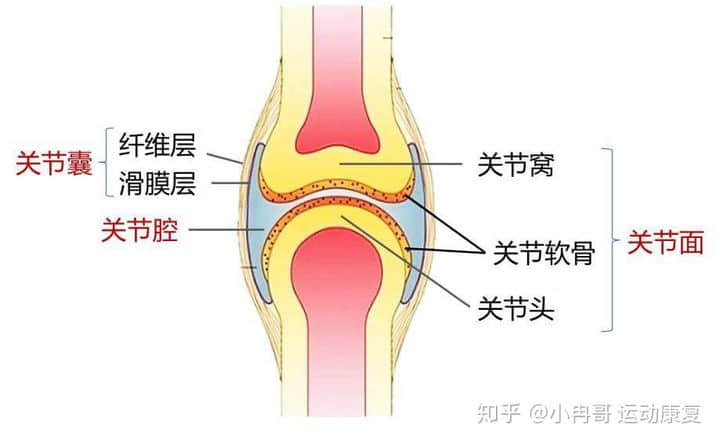 膝痛膝腫膝難受，患上滑膜炎怎么辦？