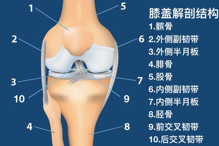 如何分辨半月板損傷還是韌帶損傷？