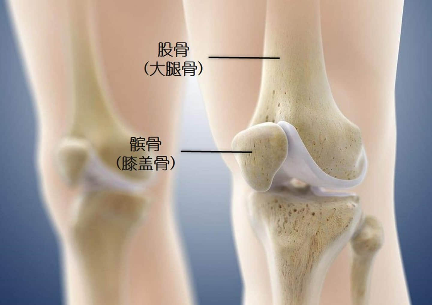 這個膝痛是最常見的運動損傷，如何自我康復？