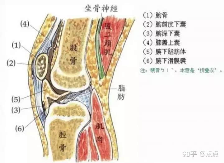 膝蓋受傷怎樣保守恢復(fù)？能自愈嗎？